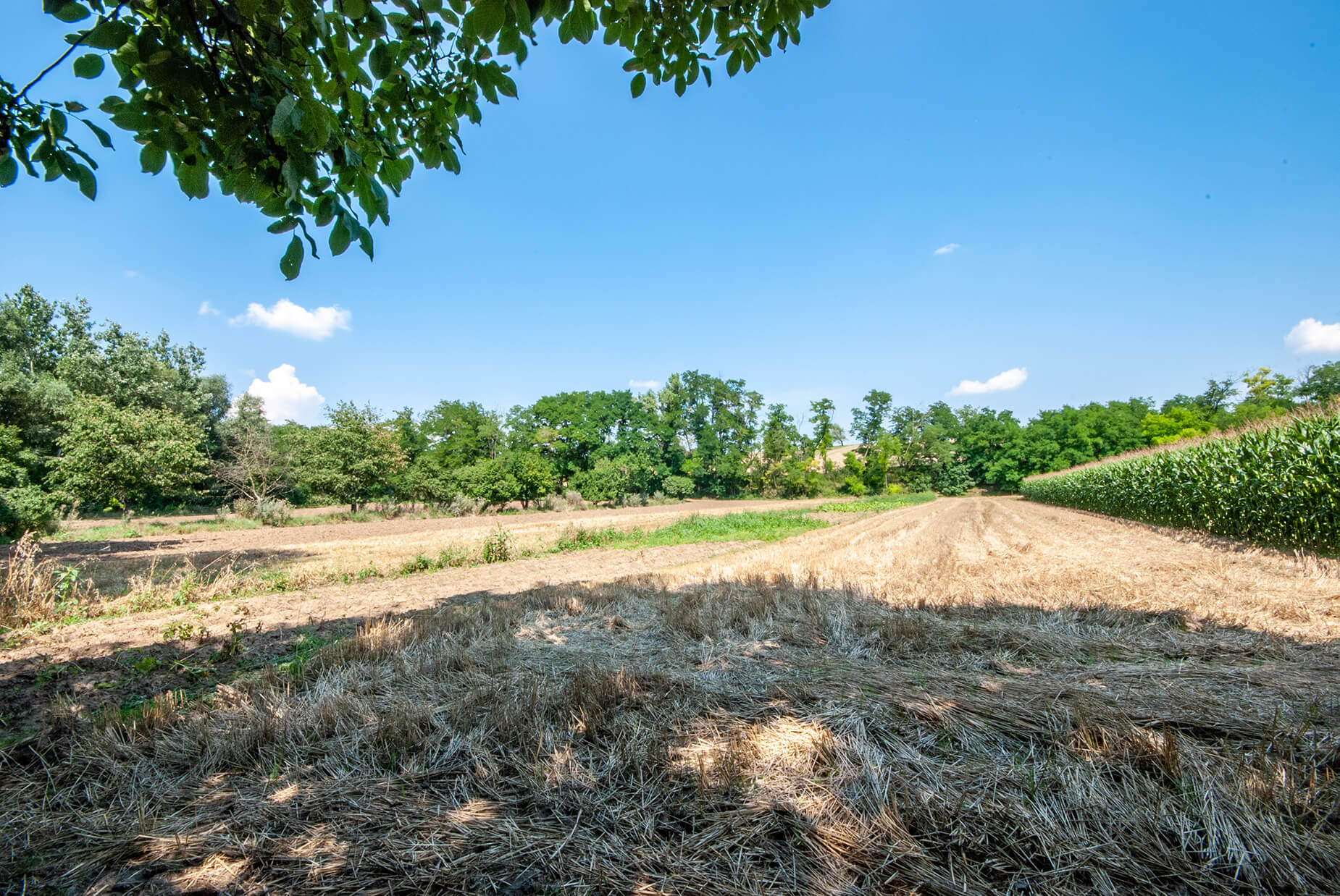 Prodej pozemku, Sobotovice, 1608 m2, okr. Brno-venkov