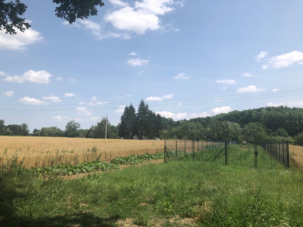 Orná půda Rebešovice, CP 1.052 m2
