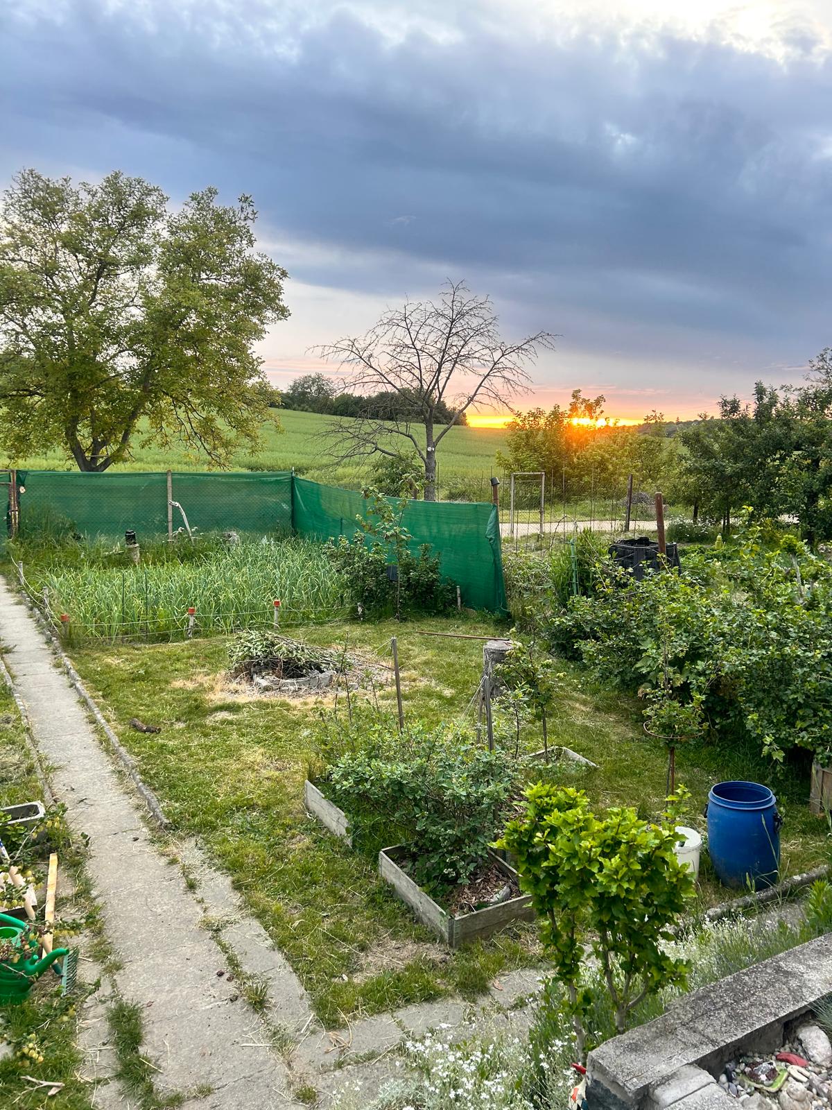 Prodej zahrady s chatkou, CP 284 m², Hrušovany u Brna