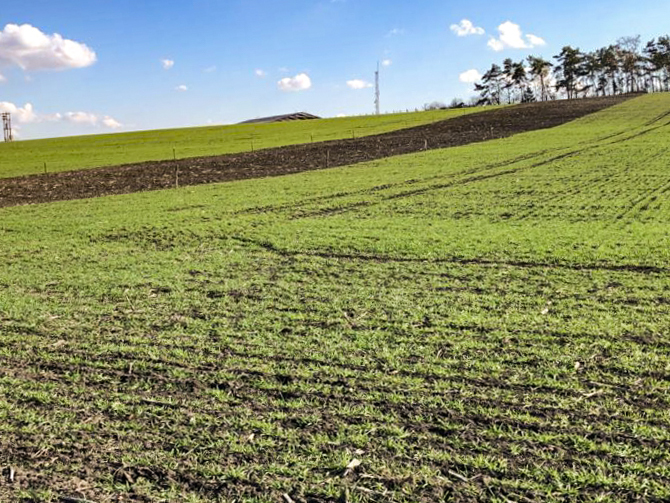 Prodej pozemku Měnín,  c.p. 31465 m2